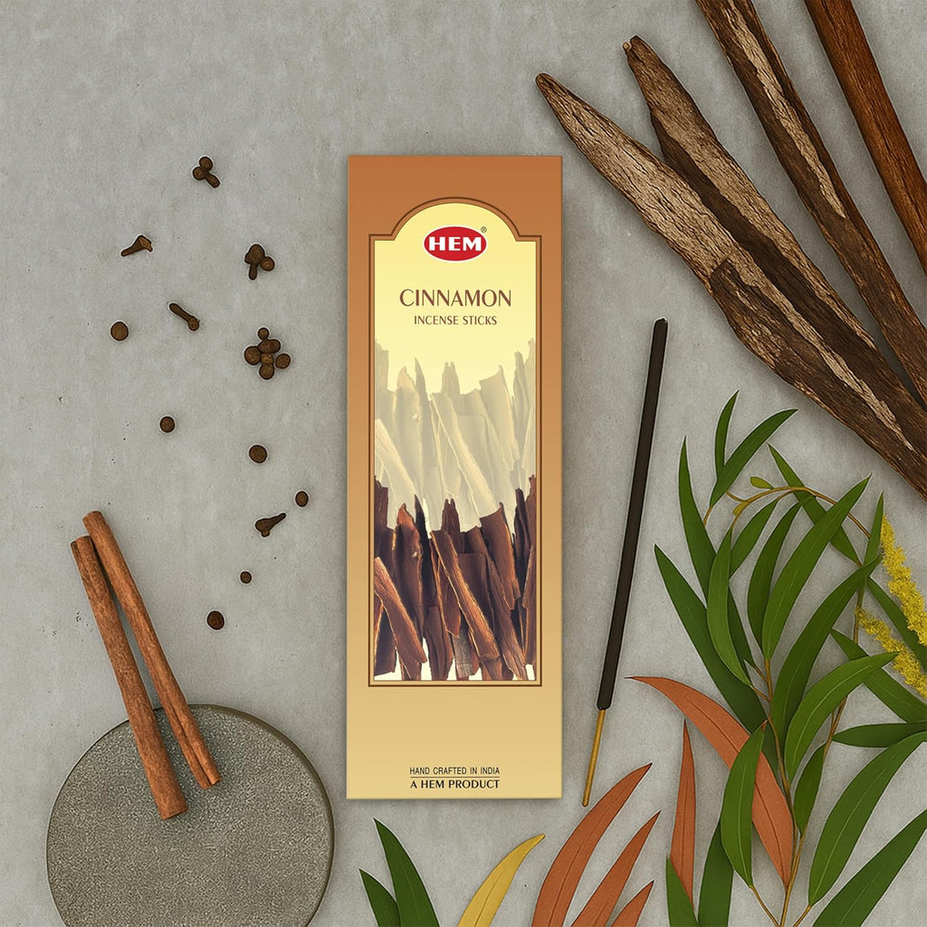 Hem Cinnamon Incense Sticks – Pack of 6 Hexa Boxes (120 Sticks Total) – Warm & Spicy Long-Lasting Aroma for Meditation, Relaxation & Home Fragrance