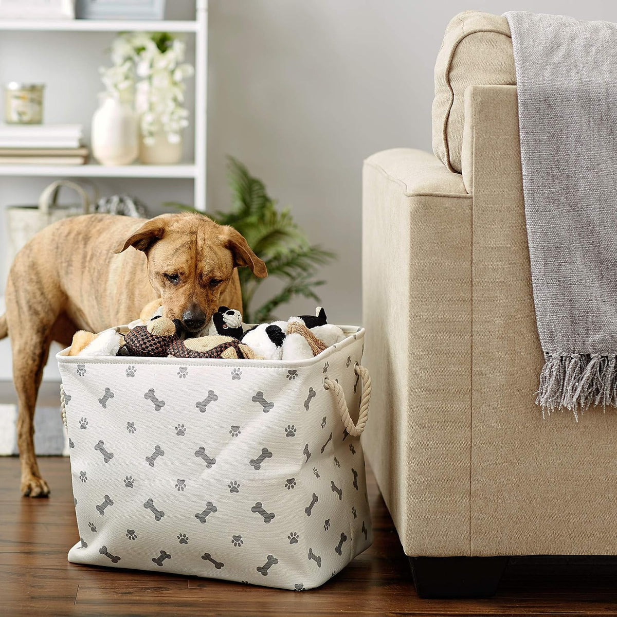 Bone Dry Dog Toy Basket, Rectangle Gray Large, Collapsible