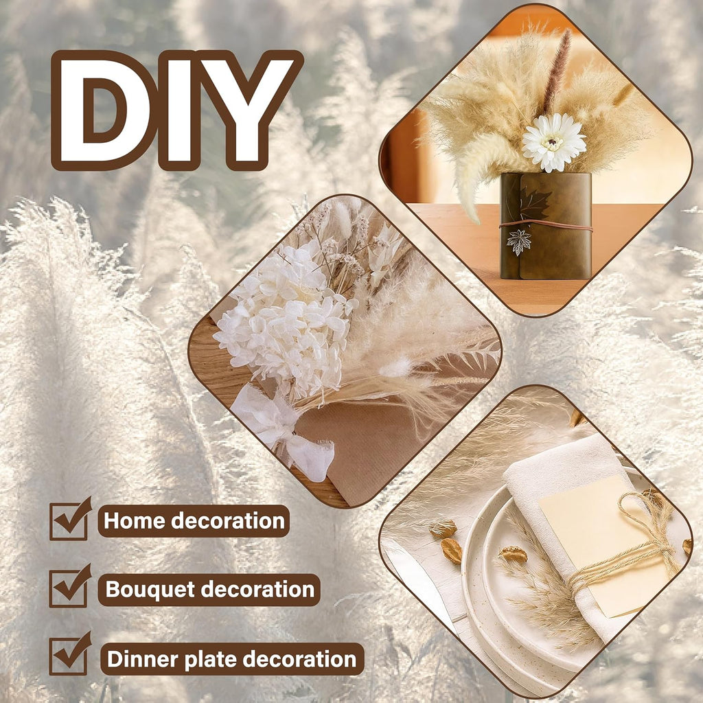 50PCS Tall Dried Pampas Grass Stems 17" for Floor Vase Decor
