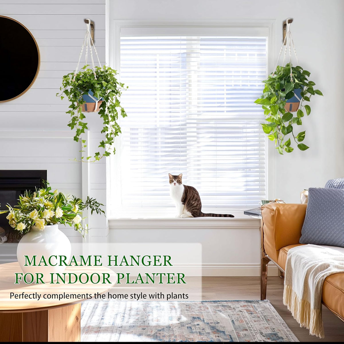 10 Inch Self Watering Hanging Planters for Indoor Plants, 2 Pack
