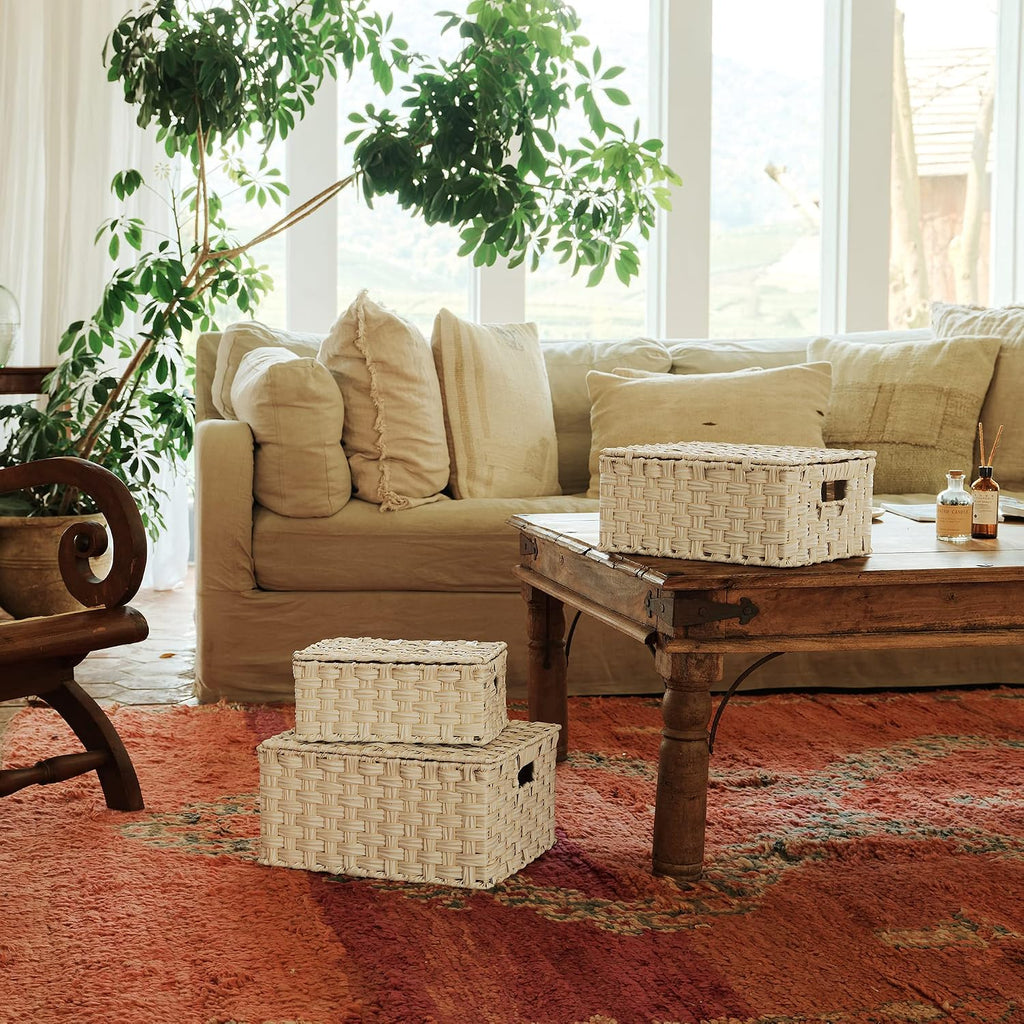 GRANNY SAYS Wicker Baskets with Lids, Woven Storage Basket with Lid