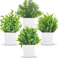 Der Rose 4 Pack Mini Faux Plants Small Plants for Home Shelf Decor