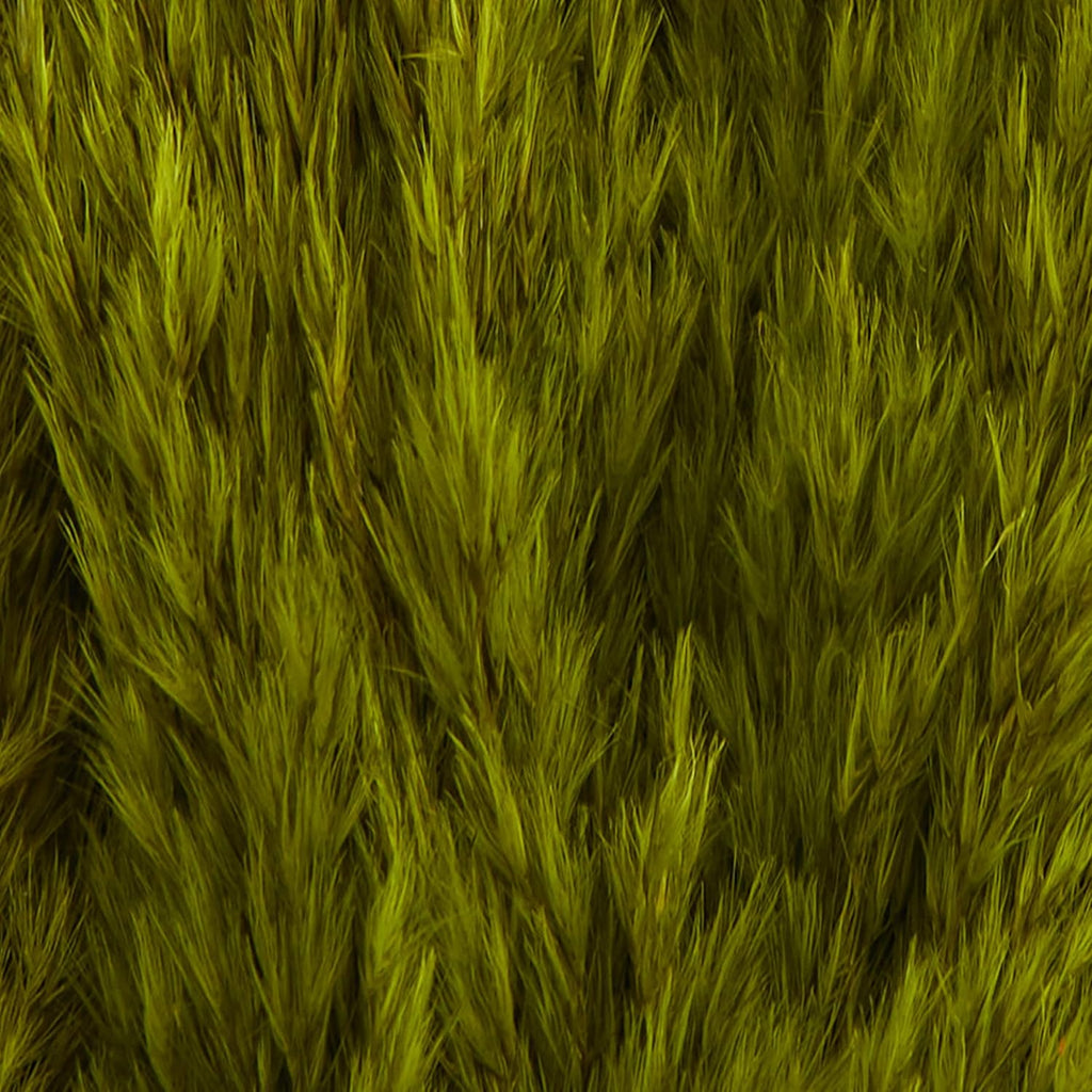 Deco 79 Dried Plant Pampas Home Decor Natural Foliage Natural Dried Foliage with Long Stems, Foliage for Decoration 2" x 1" x 35", Green