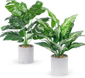 2 Pack Artificial Tropical Plants, 16" Fake Plants for Desk Decor