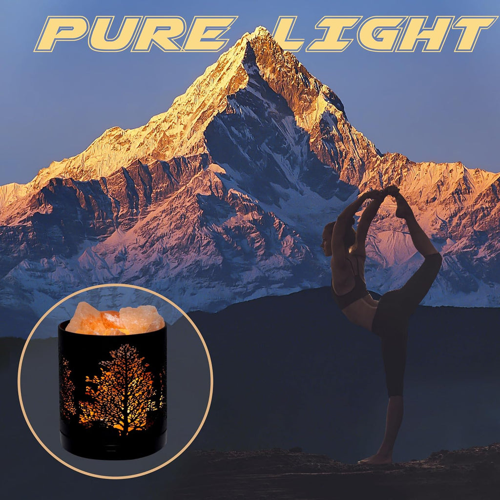 SUNYA Himalayan Salt Lamp - Metal Basket with 5 LED Bulbs, Pink Rock Salt Lamp Night Light with USB Power Cable. Box Package (Origin)