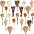 530/450Pcs Dried Pampas Grass Set for Dry Flower Home Decor (450Pcs Fall)