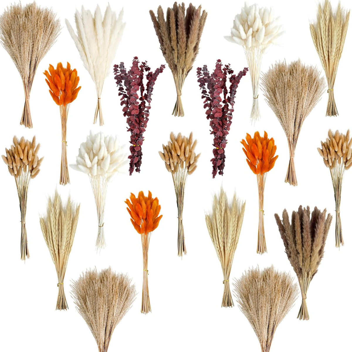 530/450Pcs Dried Pampas Grass Set for Dry Flower Home Decor (450Pcs Fall)
