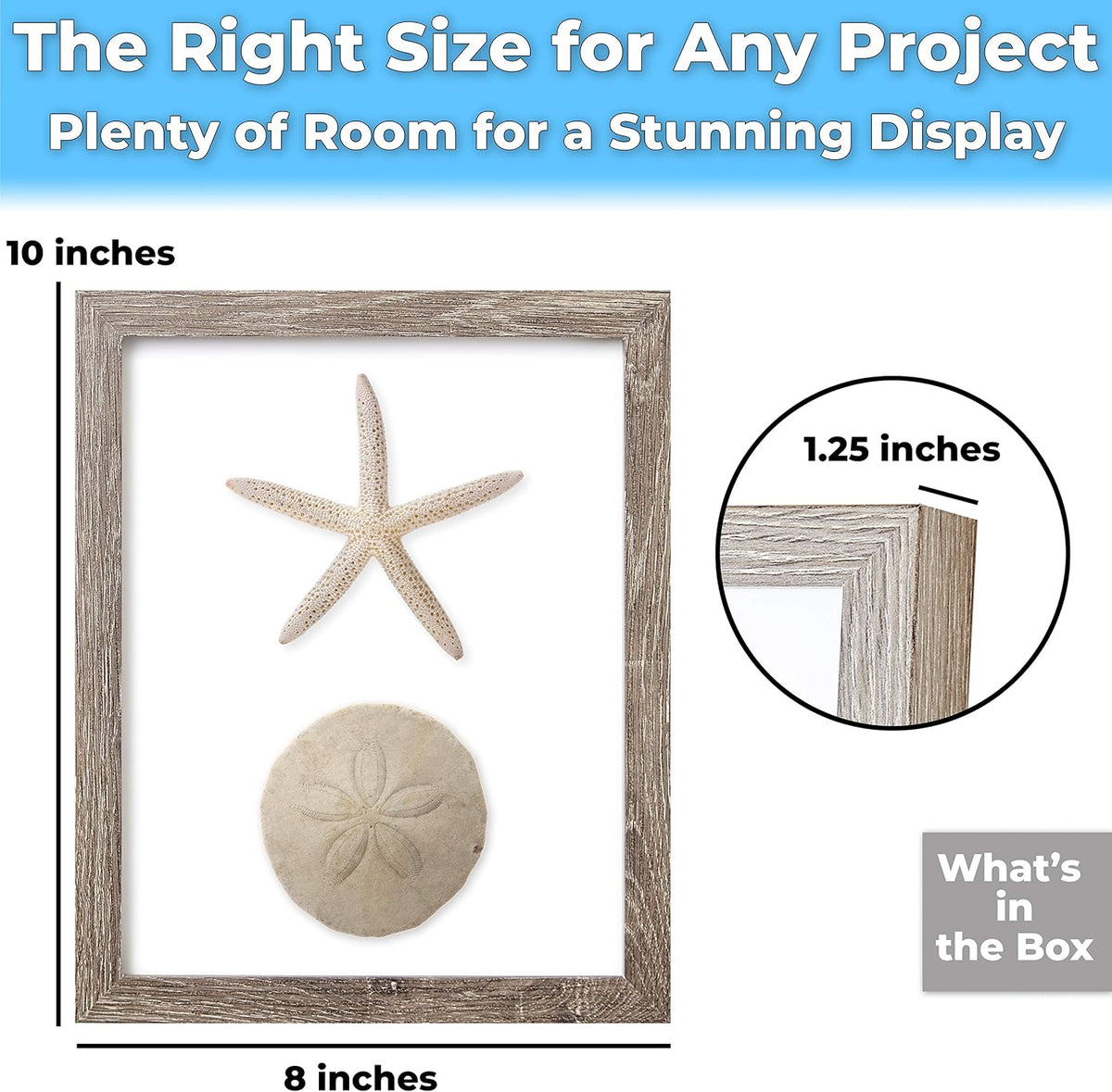 Super-Sturdy, Real Wood 8x10 Shadow Box Frame 1pk. Genuine Hardwood Display with Real Glass. Best Shadowbox to Showcase Photos, Tickets, Wedding Bouquets, CDs, Medals, Awards, Seashells and Insects.