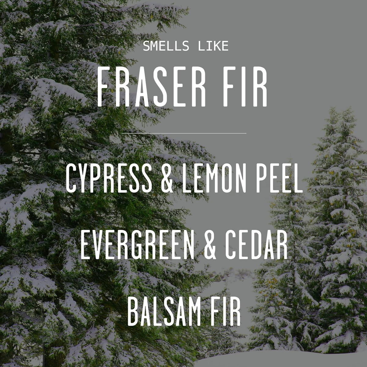 Fraser Fir Diffuser, Christmas Tree Diffuser - w/Pine Balsam, Cedar & Citrus I Infused w/Essential Oils I Christmas Décor I 3.75 OZ Oil I Long-Lasting Scent Lasts 4-6 Month's I Made in The USA
