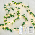 Eucalyptus Garland with 40 LED Fairy Lights, USB & Battery Powered