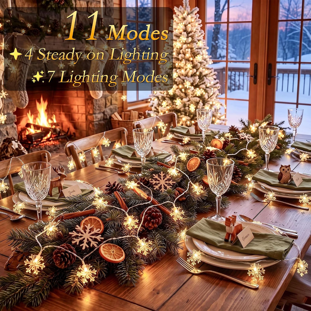 Christmas Snowflake String Lights USB 50FT 100 LED Warm White & Multicolor