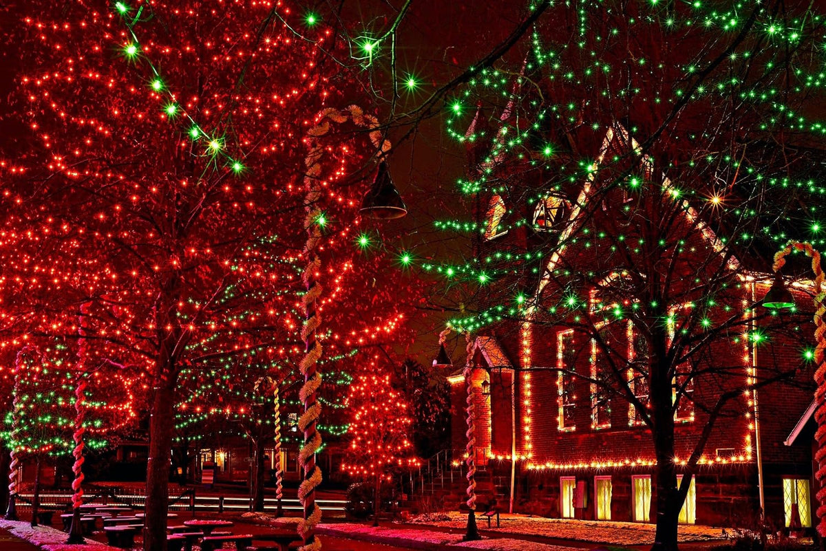 612 Vermont 50 Red Incandescent Christmas Lights on a White Wire String