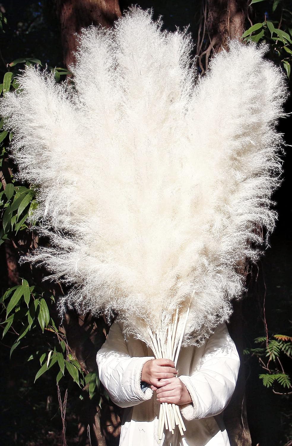 46" inch 10 Stems Cream Pampas Grass Decor Tall, Dry Flowers for Floor Vases Decor, Natural Dried Flowers for Wedding, Natural Home Decor, Wall Grass, Glam Decor