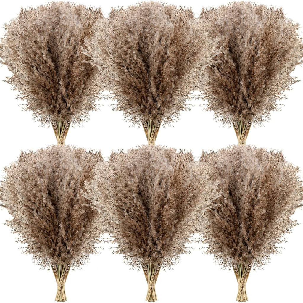 Janinka 100 Pcs Dried Fluffy Pampas Grass Bulk 17 Inch, Boho Decor, Brown