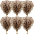 Janinka 100 Pcs Dried Fluffy Pampas Grass Bulk 17 Inch, Boho Decor, Brown
