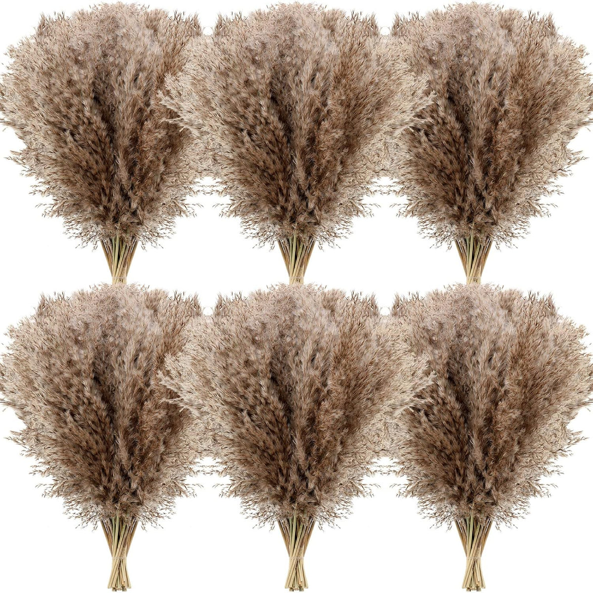 Janinka 100 Pcs Dried Fluffy Pampas Grass Bulk 17 Inch, Boho Decor, Brown