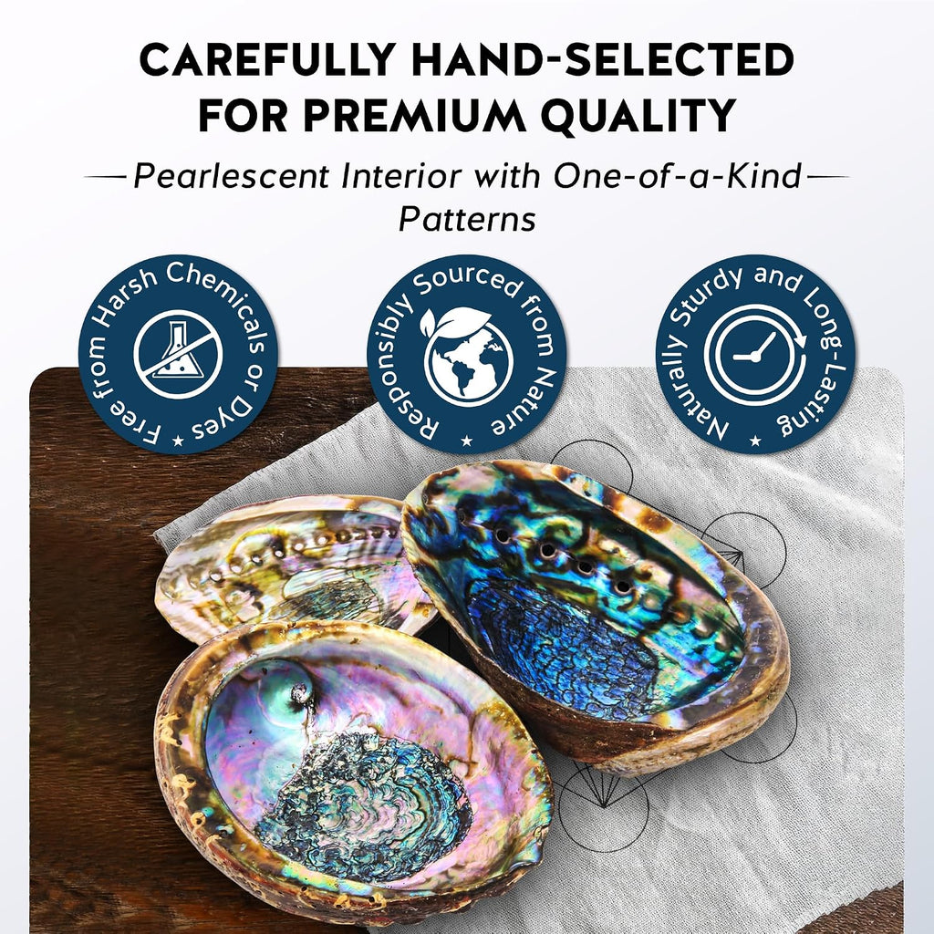 Hand Selected Abalone Shell, 6-Inch+ Polished Smudging & Display Bowl