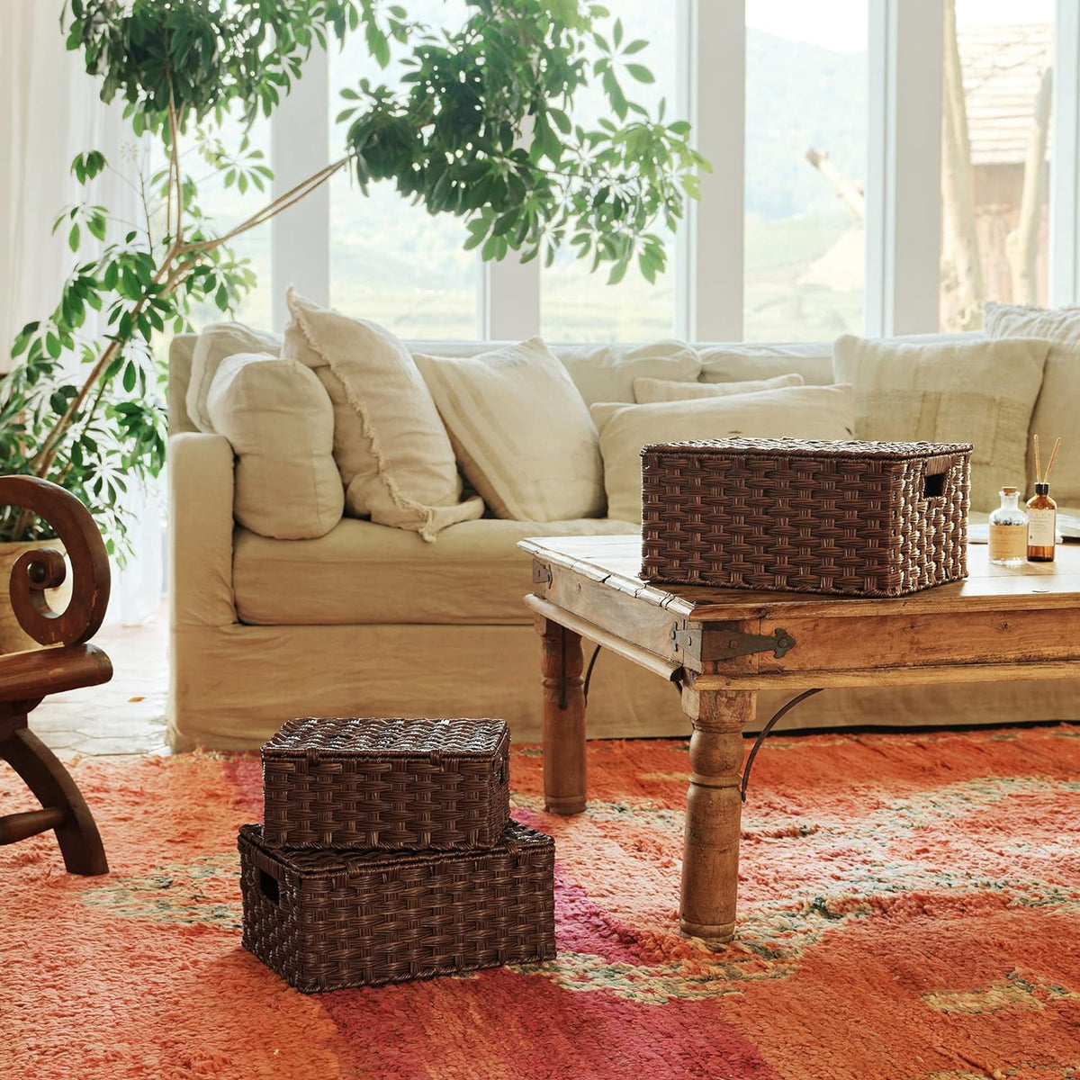 GRANNY SAYS Wicker Baskets with Lids, Decorative Storage Boxes with Lids