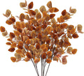 Sggvecsy 6 Pcs Fall Eucalyptus Leaves Artificial Eucalyptus Stems Long Silver Dollar Leaves Autumn Leaf Branches Fake Silk Eucalyptus for Indoor Home Autumn Thanksgiving Decor (Mixed Fall Color)
