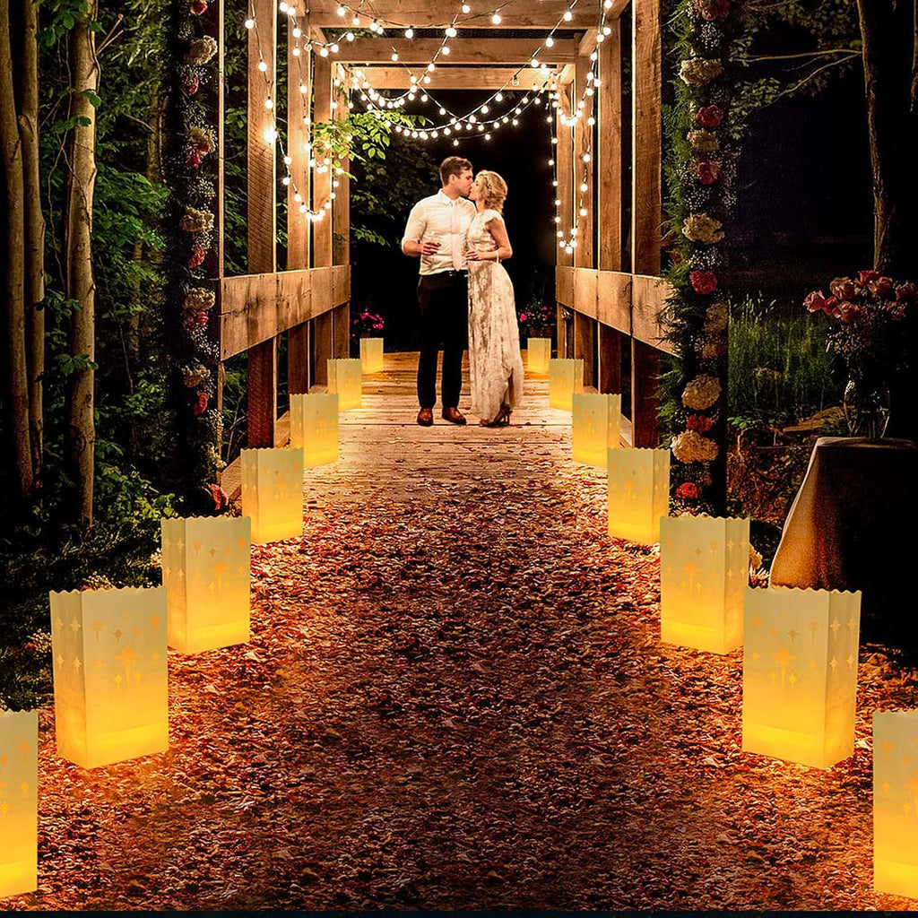 AceList 50 Set LED Candles with Luminaries Bags,Paper Luminary Bags Flickering Tea Light Battery Operated for Wedding Party,Halloween,Christmas,Decoration- Meteor