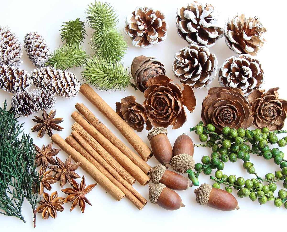 DIY Natural Dried Flower Kit - Bulk Dried Plants, Pine Cones, Scented Lemon Slices, Cinnamon Sticks Wood Roses & Mini Pinecones for Home Décor, Christmas Decoration (Green)