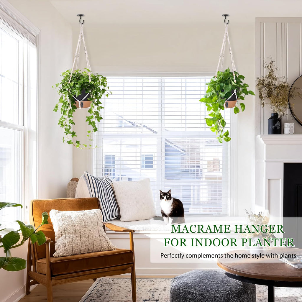 10 Inch Hanging Planters for Indoor Plants, 2 Pack, Self Watering, Black
