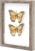 Super-Sturdy, Real Wood 8x10 Shadow Box Frame 1pk. Genuine Hardwood Display with Real Glass. Best Shadowbox to Showcase Photos, Tickets, Wedding Bouquets, CDs, Medals, Awards, Seashells and Insects.