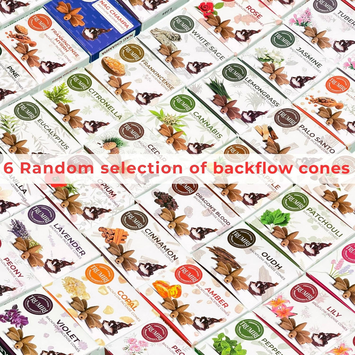 Trumiri Backflow Incense Cones for Waterfall Fountain - 6 Random Scents - Insence - Insenses - Large Long Lasting Variety Pack - Inciensos - 10 Cones per Scent - Total 60 Conos