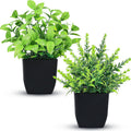 Der Rose 2 Pack Fake Plants Black Small Plants for Bathroom Decor