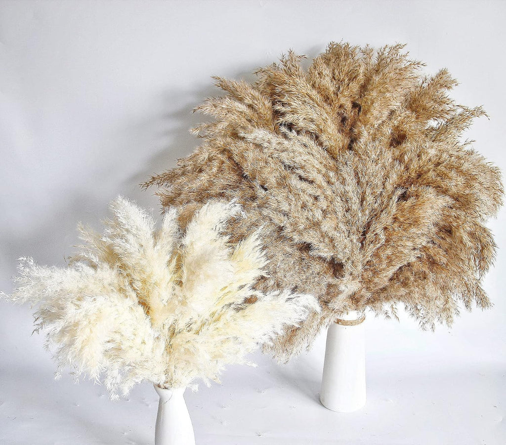 60 PCS Boho Decor, Fluffy Pompas Grass, Natural Dry Pampas Grass Small, Short Pampass Bulk for Boho Room Decor, Coffee Table Decor (17 inch )
