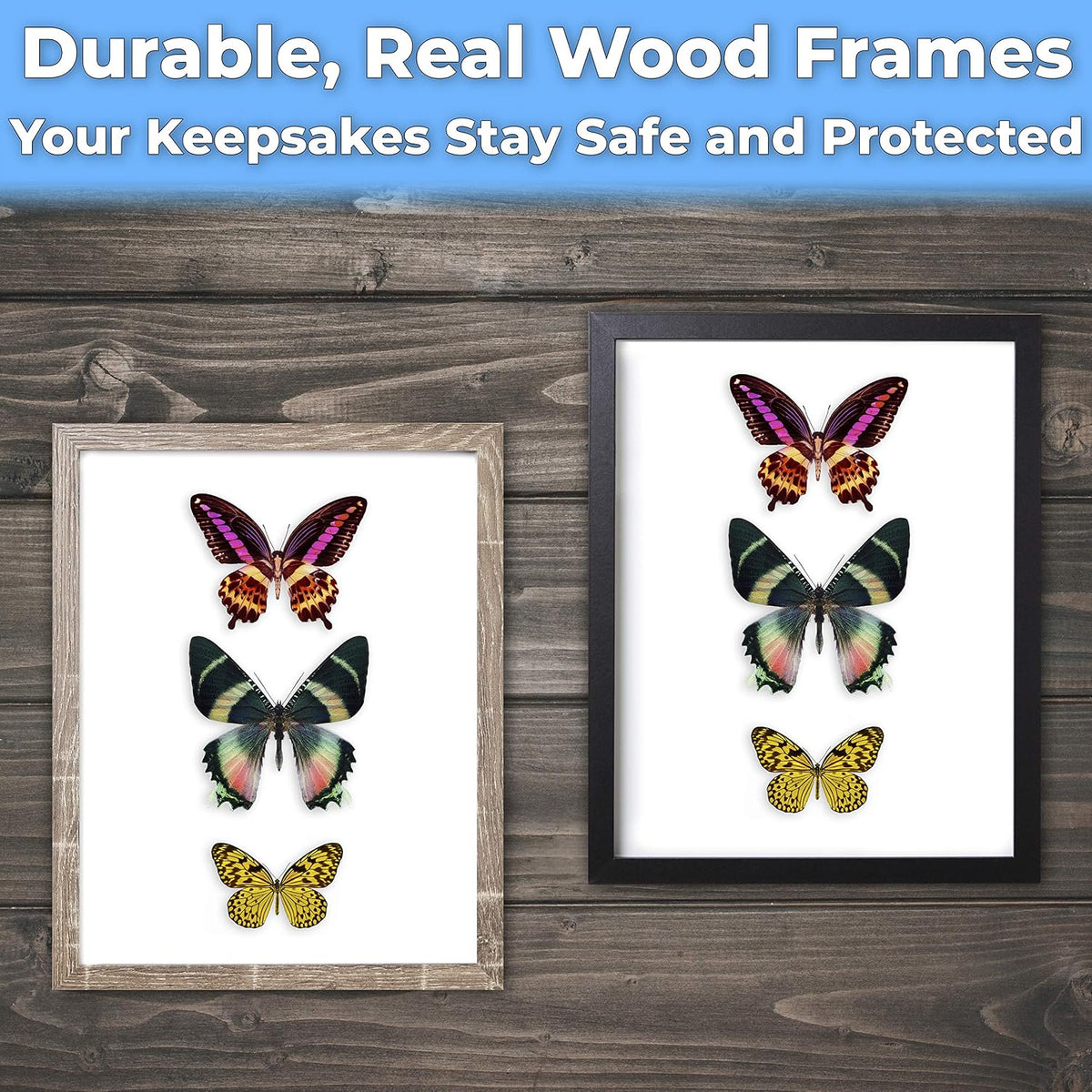Super-Sturdy 8x8 Shadow Box Frame 1pk – MDF Display with Real Glass. Best Shadowbox to Showcase Photos, Tickets, Wedding Bouquets, CDs, Medals, Awards, and Insects (1, Display Black)
