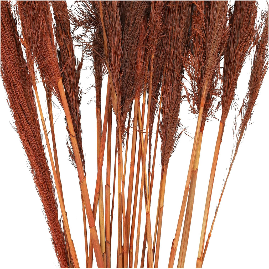 Deco 79 Dried Plant Pampas Grass Natural Foliage Tall , 2" x 1" x 35", Orange