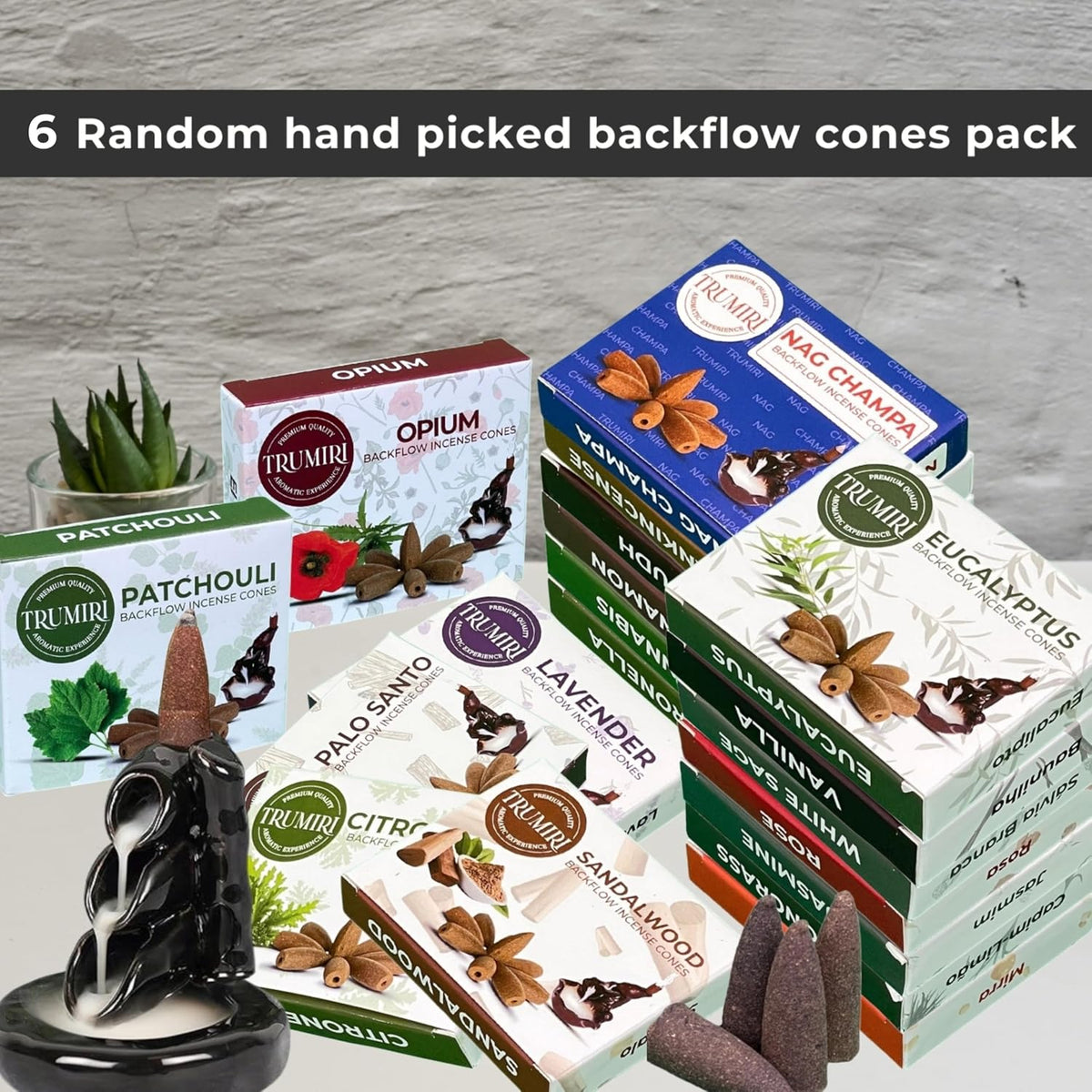 Trumiri Backflow Incense Cones for Waterfall Fountain - 6 Random Scents - Insence - Insenses - Large Long Lasting Variety Pack - Inciensos - 10 Cones per Scent - Total 60 Conos