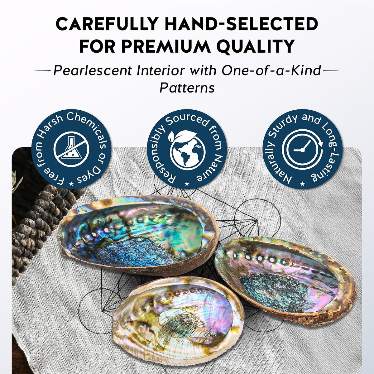 Hand Selected Abalone Shell, 5-Inch+ Polished Smudging & Display Bowl Kit