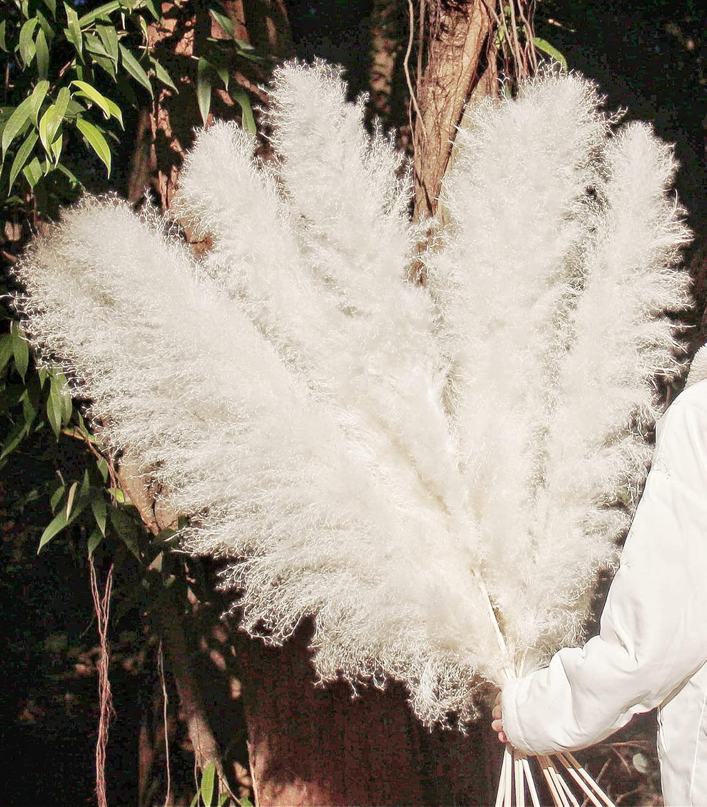 46" inch 10 Stems Cream Pampas Grass Decor Tall, Dry Flowers for Floor Vases Decor, Natural Dried Flowers for Wedding, Natural Home Decor, Wall Grass, Glam Decor