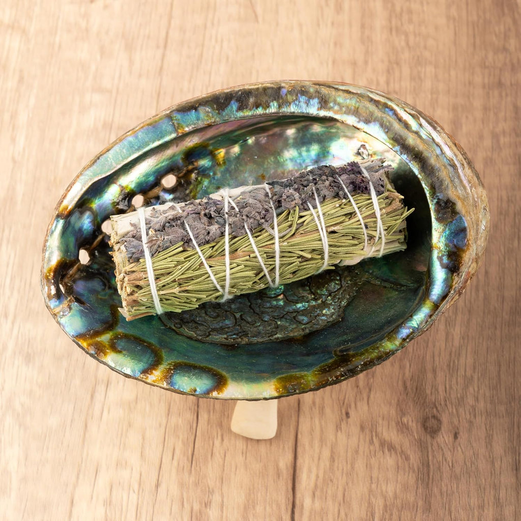 Wish Well Natural Abalone Shell 5-6 Inch Large with Wooden Stand