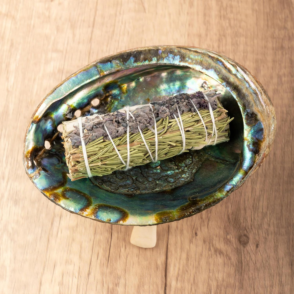 Wish Well Natural Abalone Shell 5-6 Inch Large with Wooden Stand